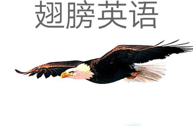 embracing翻译_minimalistic_embracing