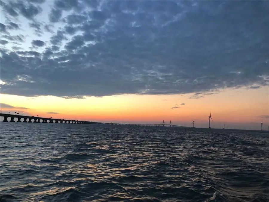 东海大桥上_东海大桥_东海大桥桥长