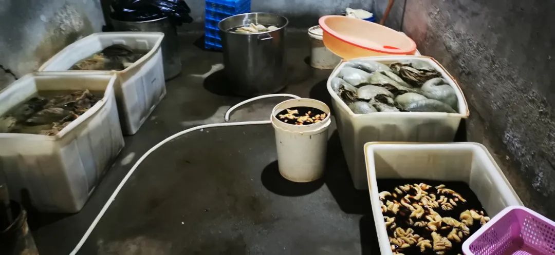吐组词语_吐的读音_吐