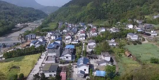 金龟村_金龟村_金龟村