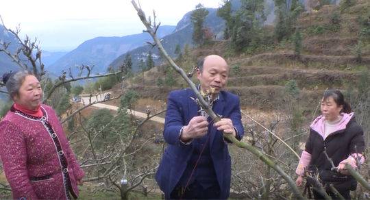 金龟村_金龟村_金龟村