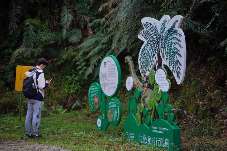 金龟村_金龟村_金龟村