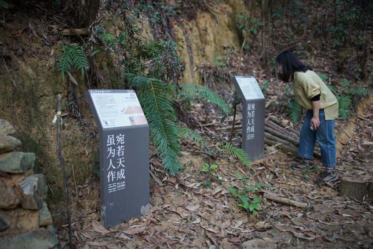 金龟村_金龟村_金龟村