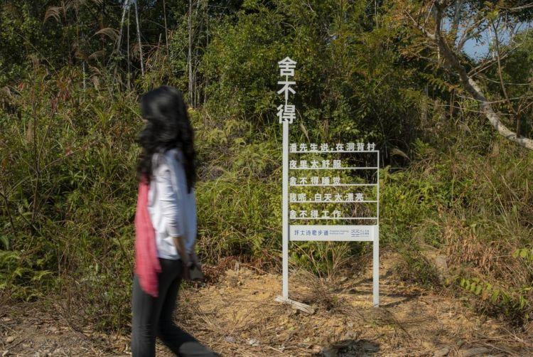 金龟村_金龟村_金龟村