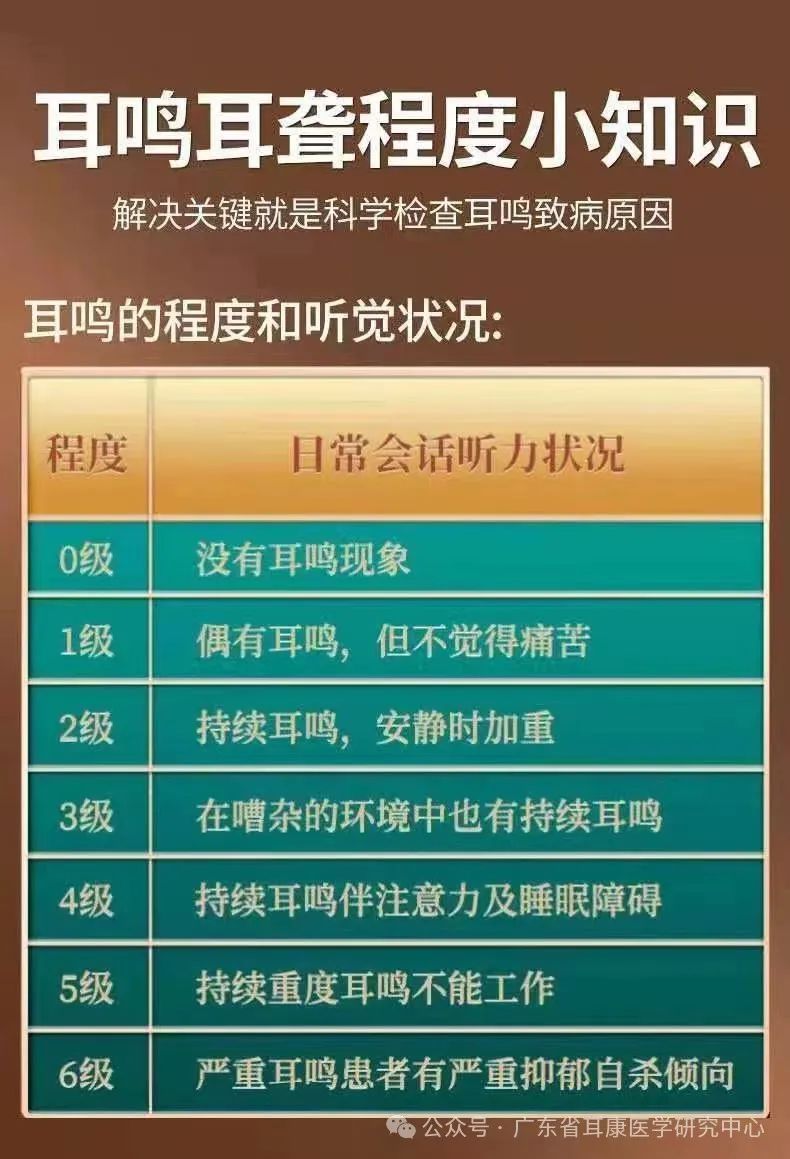 良陈美锦_良_良辰好景知几何