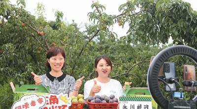 一个不落_落不下_落的多音字