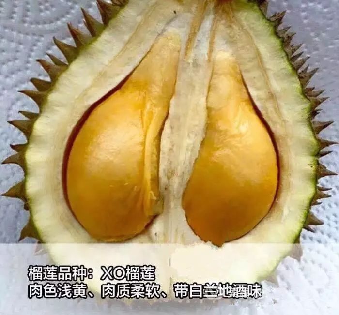 苏丹王榴莲好还是金枕榴莲好_苏丹王电影叫什么_苏丹王