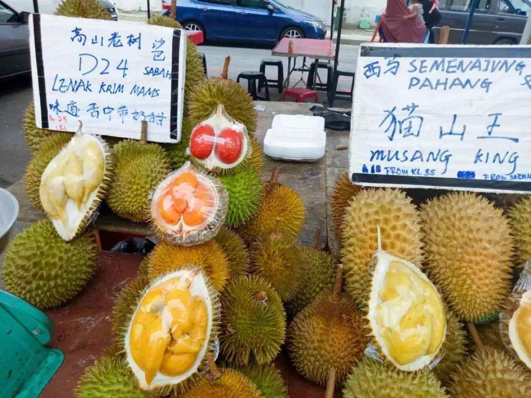 苏丹王榴莲好还是金枕榴莲好_苏丹王电影叫什么_苏丹王