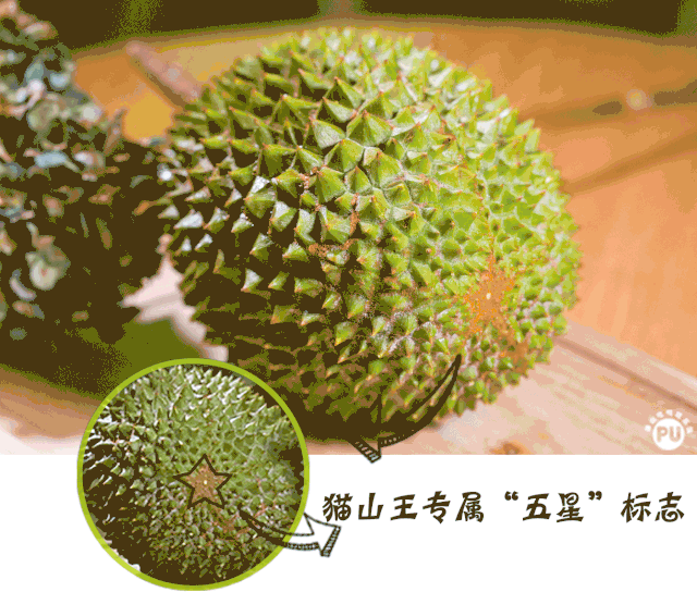 苏丹王电影叫什么_苏丹王榴莲好还是金枕榴莲好_苏丹王