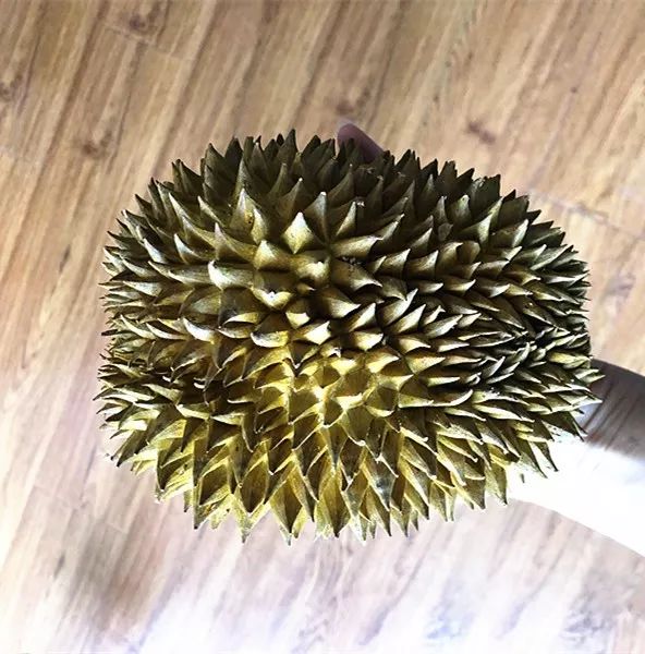 苏丹王_苏丹王电影叫什么_苏丹王榴莲好还是金枕榴莲好