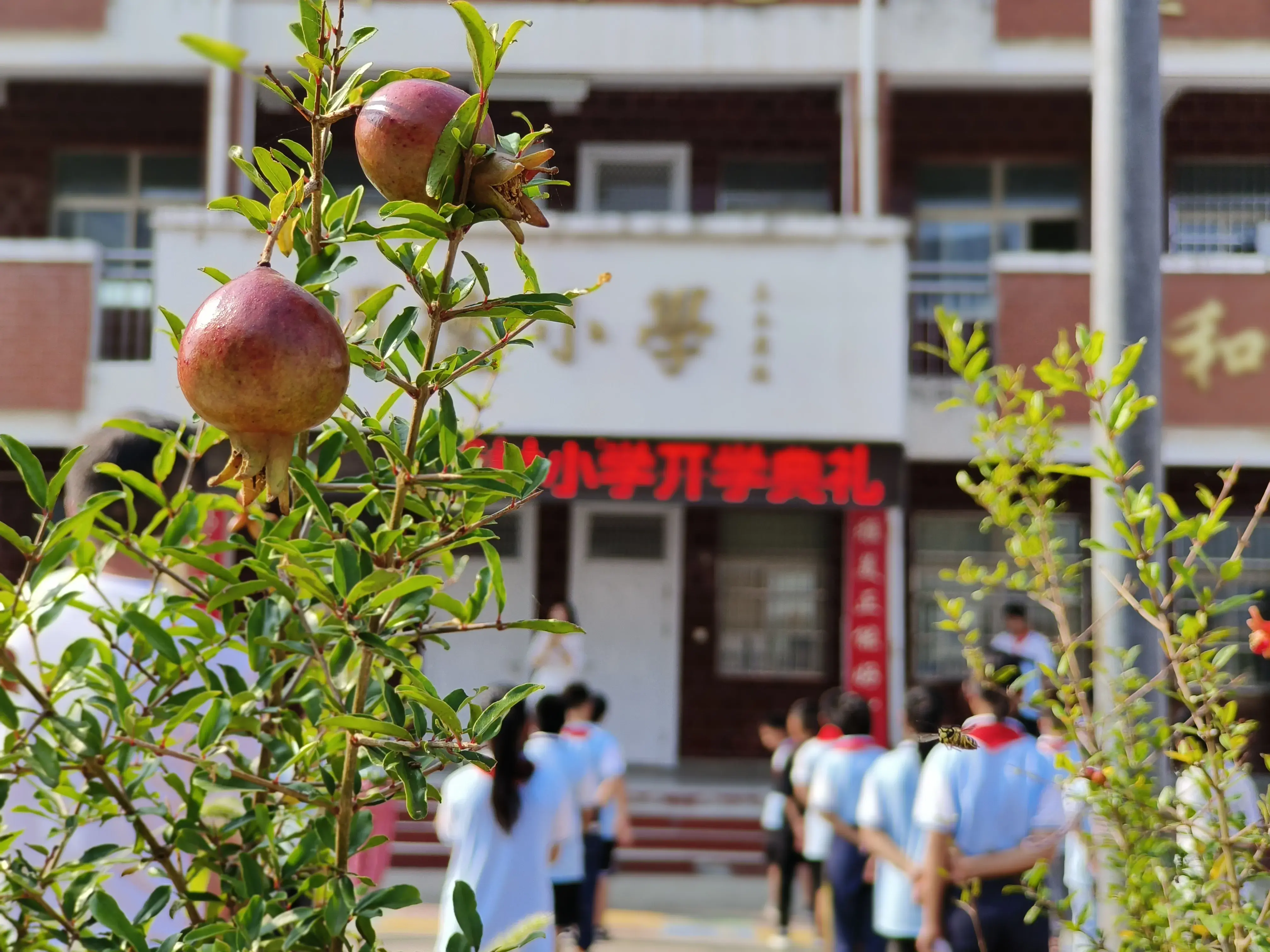 一腔热血_满腔热血_腔热血是什么意思