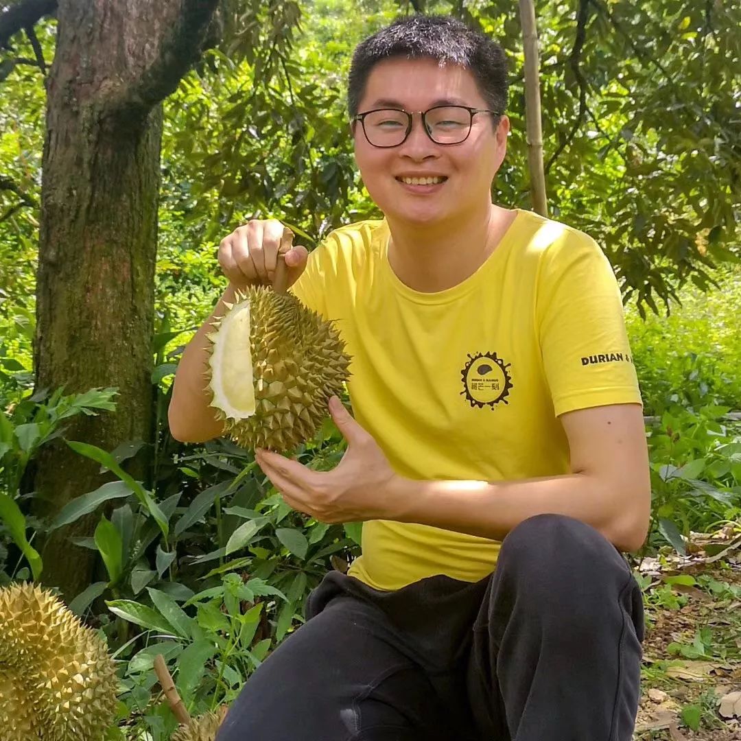 苏丹王_苏丹王榴莲好还是金枕榴莲好_苏丹王榴莲和猫山王榴莲的区别