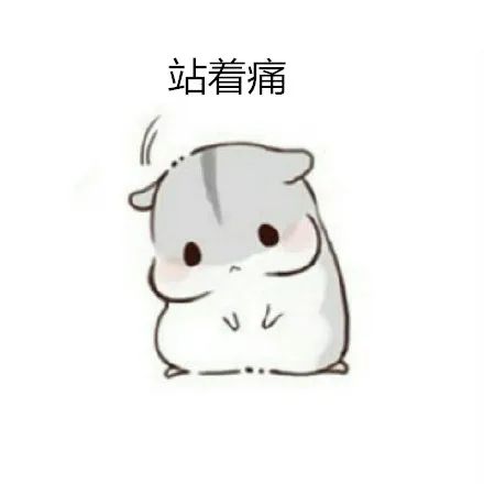 budgets_budget什么_BUDGET是什么品牌