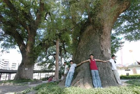 勤学好问_勤学问好关于什么成语_勤学问好的印章图片
