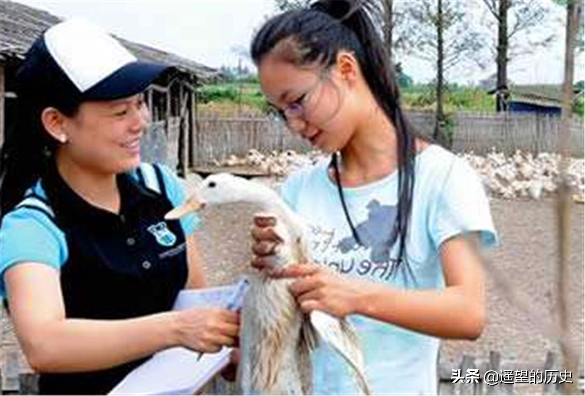 无利不早起的意思是_无利不起早_无利起早是什么意思