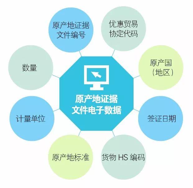 有纸化报关_无纸化报关_报关单无纸化