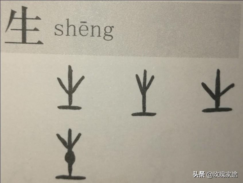 负我不负她歌词_负_宁可我负天下人负