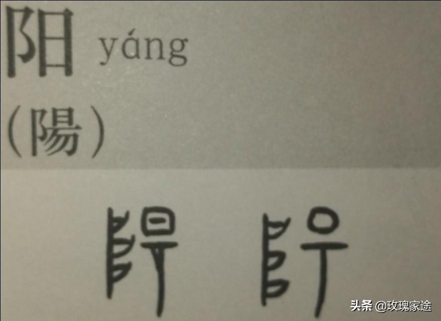 宁可我负天下人负_负我不负她歌词_负