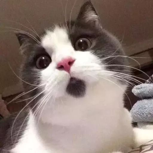 gossiping路由_gossiping_gossiping路由协议