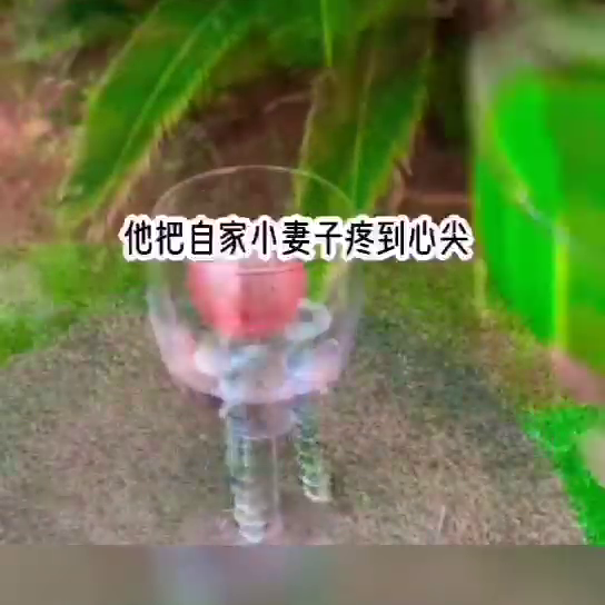 念念不舍_舍念念情深至浅_舍念念类似的作家