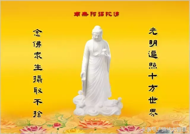 舍念念《一上到底》_念念不舍_舍念念的全部小说