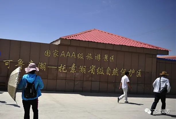 可鲁克湖鸟类_可鲁克湖照片_可鲁克湖