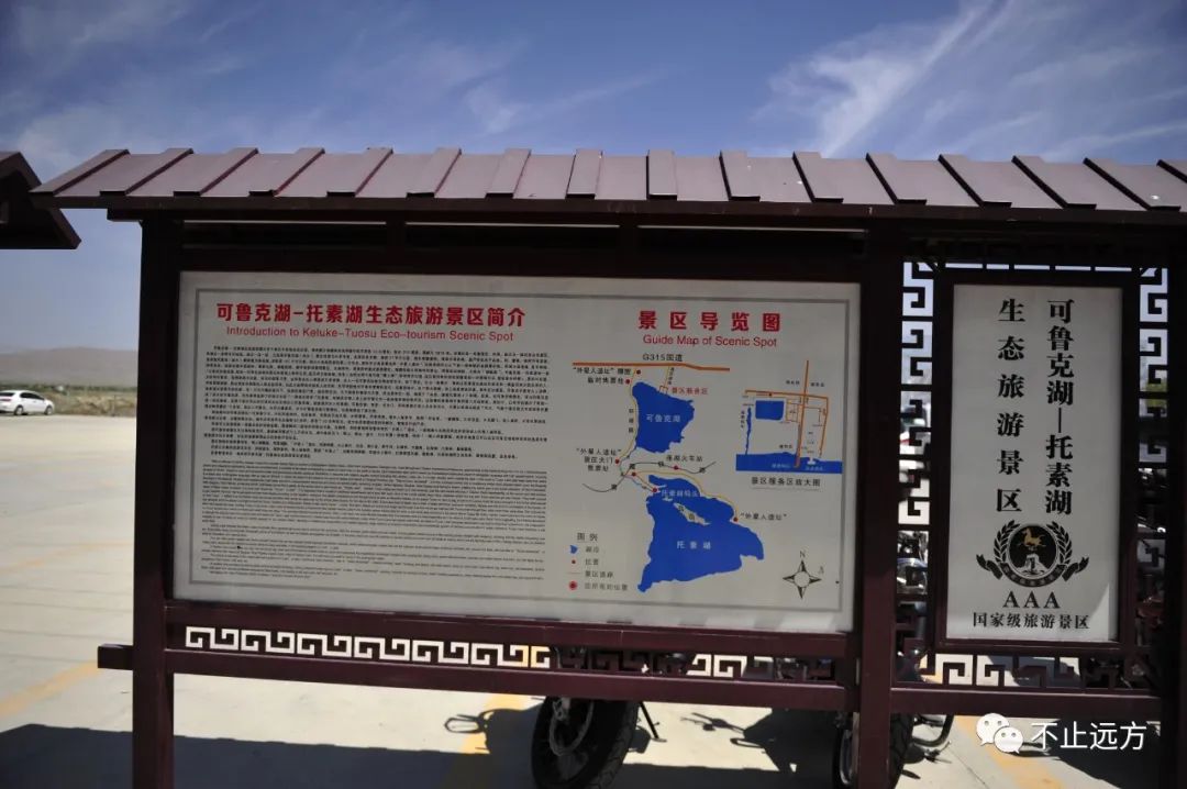 可鲁克湖照片_可鲁克湖鸟类_可鲁克湖