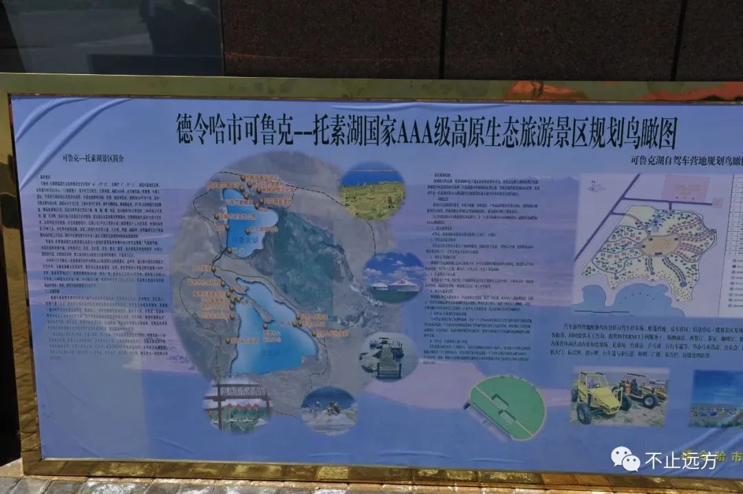 可鲁克湖照片_可鲁克湖_可鲁克湖鸟类