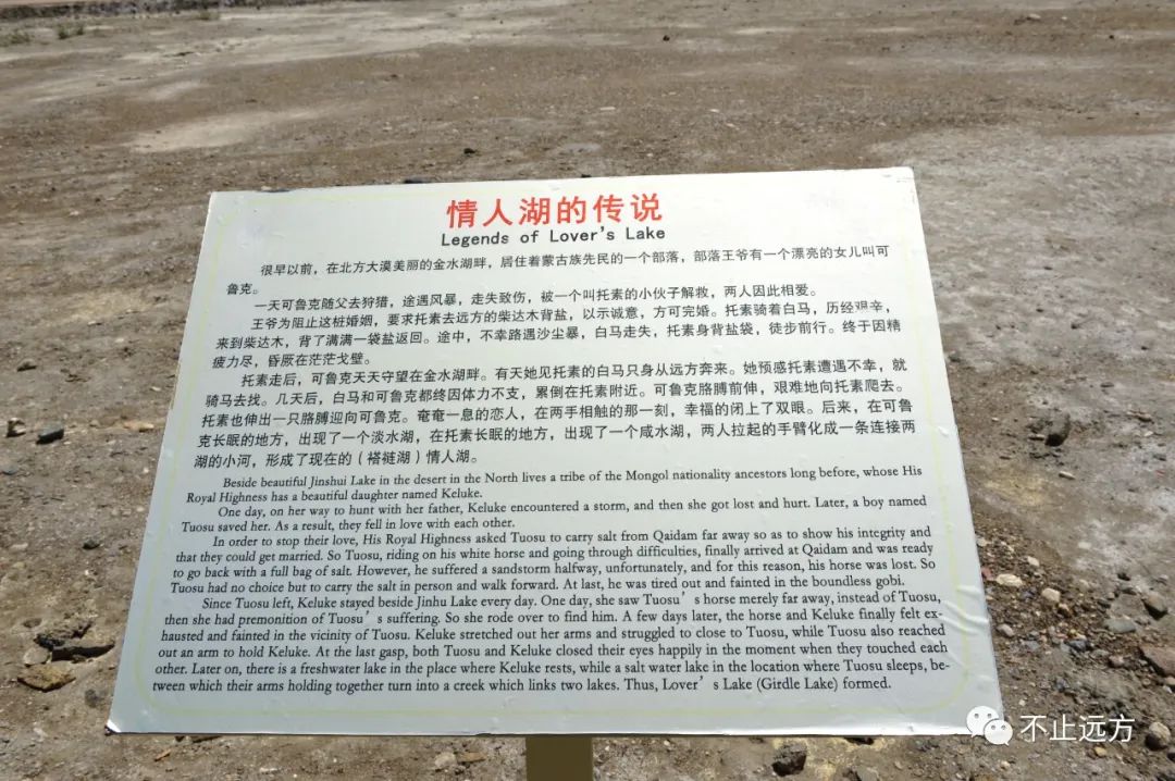 可鲁克湖照片_可鲁克湖_可鲁克湖鸟类