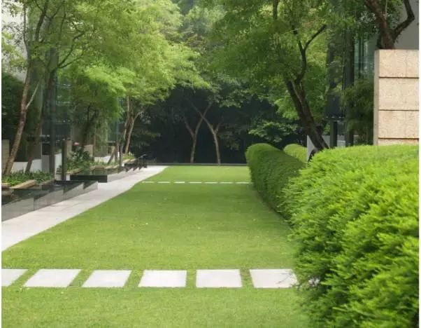 说的够狠和够犀利有什么不同_够不着_够了