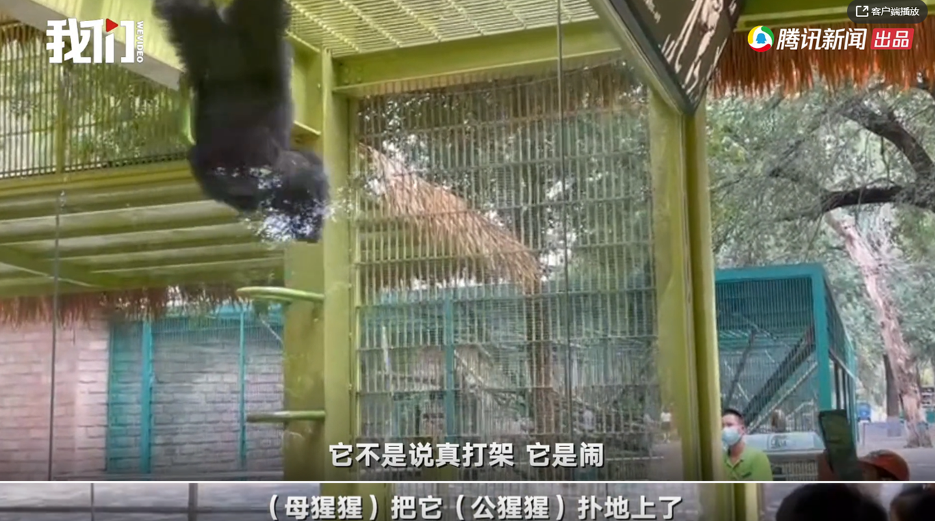 亦庄亦谐_亦庄亦谐_亦庄亦谐