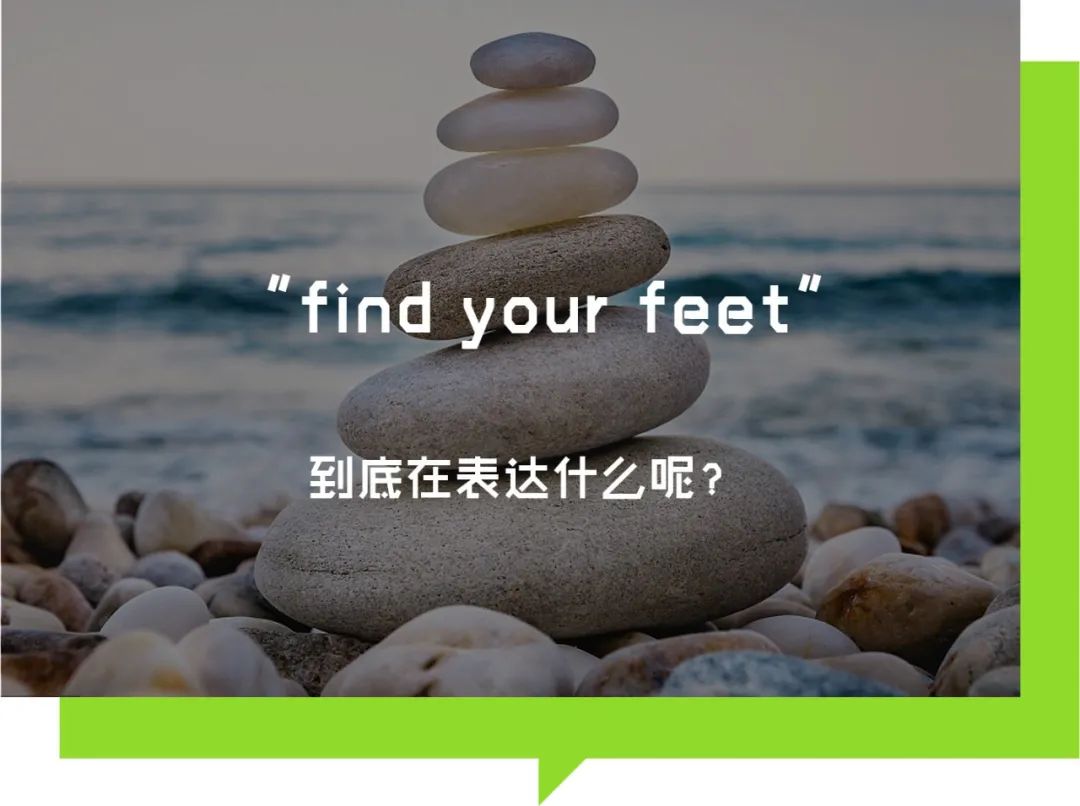 thanked_thankedfor_thanked中文翻译