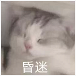 拱怎么读_拱_拱