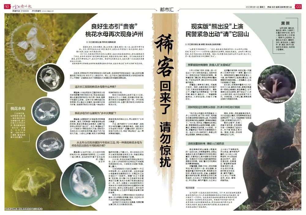 拱_拱_拱怎么读