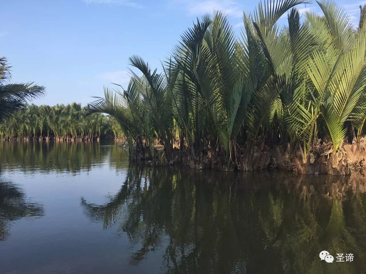 海关越南火龙果中文标签_越南海关_海关越南咖啡豆