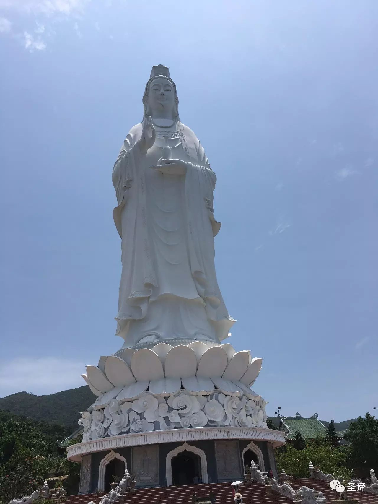 海关越南咖啡豆_越南海关_海关越南火龙果中文标签