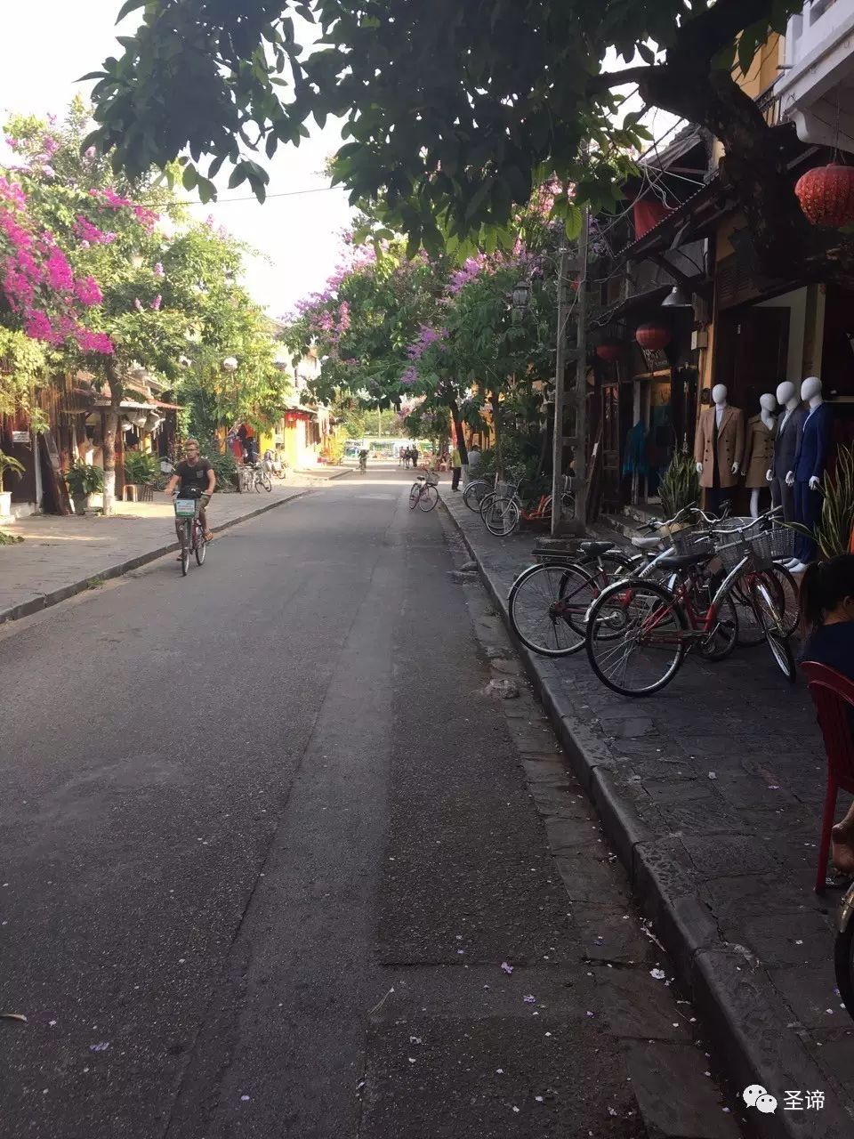 越南海关_海关越南火龙果中文标签_海关越南咖啡豆