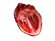 aback是什么意思_aback怎么读_aback