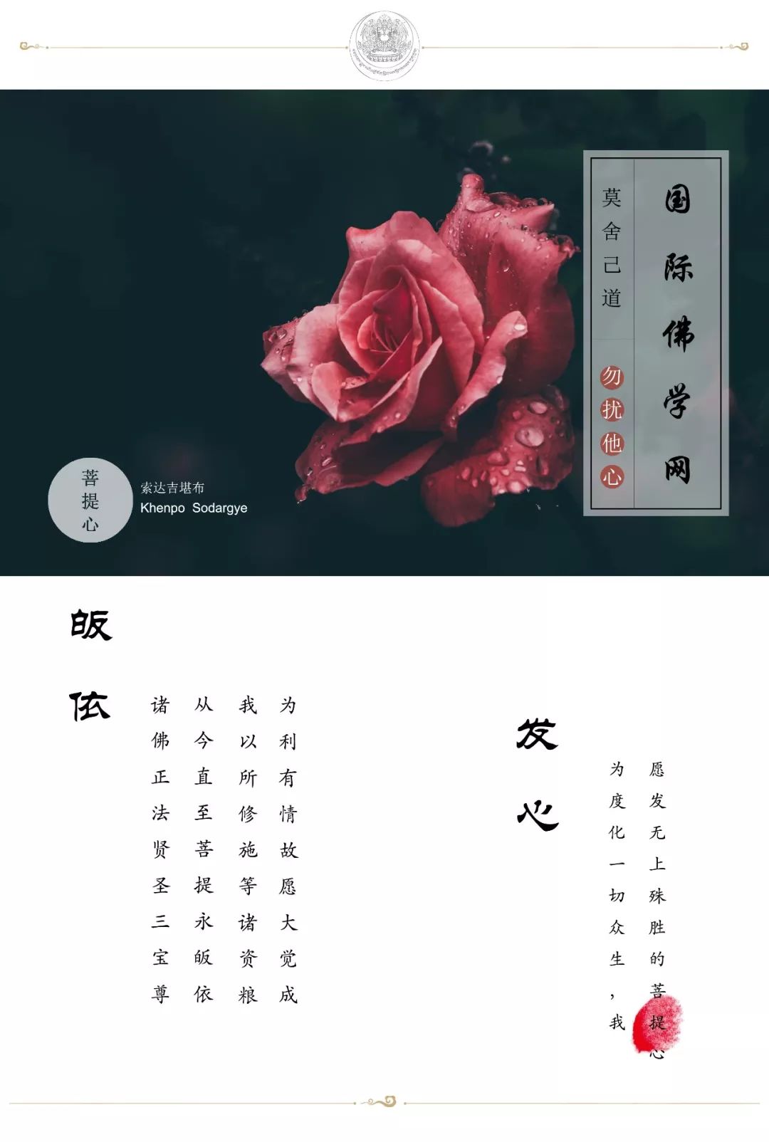 aback取代abandon_aback怎么读_aback