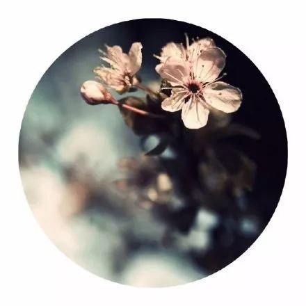 aback怎么读_aback取代abandon_aback