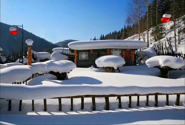 大雪封山_大雪封山蝉死八年_大雪封山三十年麦词