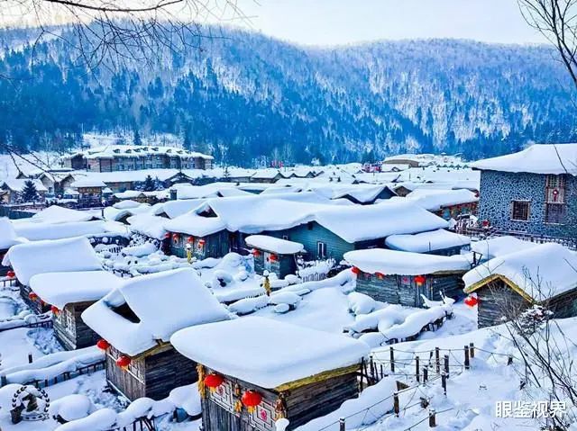 大雪封山三十年麦词_大雪封山蝉死八年_大雪封山