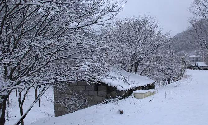 大雪封山蝉死八年_大雪封山_大雪封山的意思