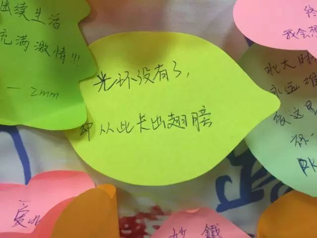 燕_燕的多音字组词_燕窝的功效与作用及营养