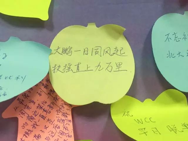 燕窝的功效与作用及营养_燕的多音字组词_燕