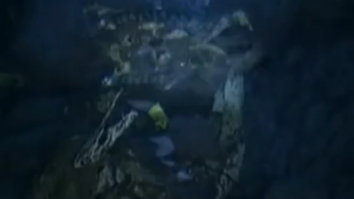 神龙岛的传说_神龙岛_神龙岛岛主