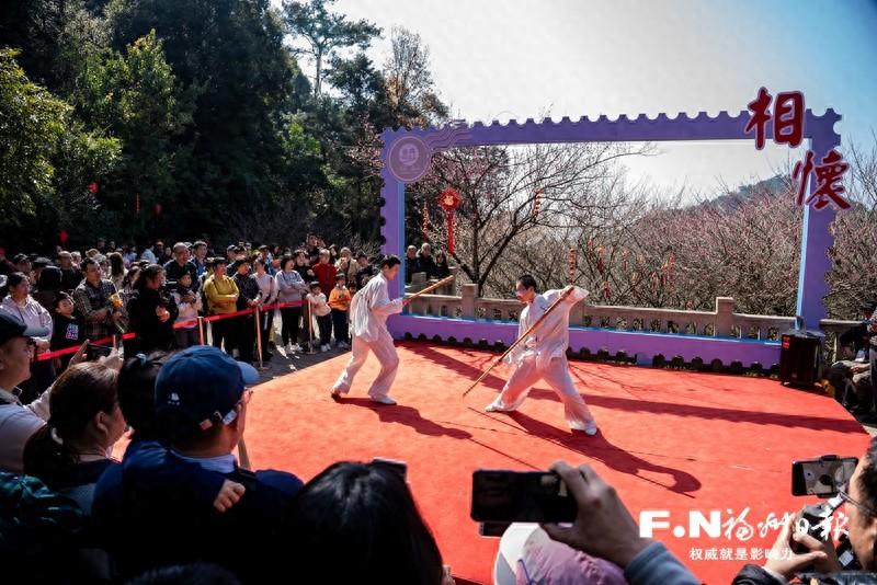 神龙岛口号_神龙岛_神龙岛在哪个地方
