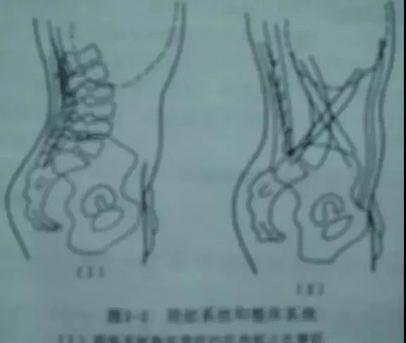 矢_讨鬼传2弓火矢咒矢_矢内里华
