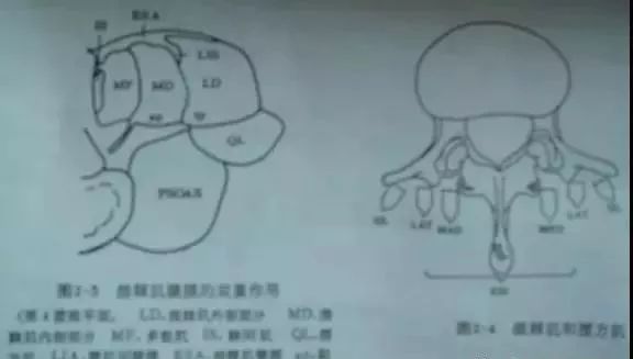 矢_矢内里华_讨鬼传2弓火矢咒矢