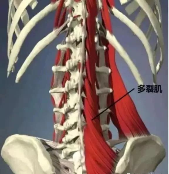 矢内里华_矢_讨鬼传2弓火矢咒矢